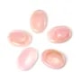 Cabujón Concha rosa ovalado 18x25mm x 1pc