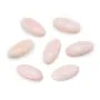 Cabochon Conchiglia Lambi Rosa | Elemento Trend Gioielli