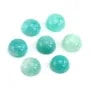 Cabochon Amazzonite del Perù rotondo 5mm x 2pz