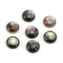 Runder grauer Perlmutt-Cabochon 5mm x 4Stk.