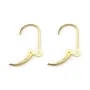 Dormeuses Interchangeables Gold Filled | Apprêts Boucles Bijoux