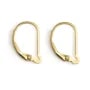 Dormeuses interchangeable 15mm - Gold Filled x 2pcs
