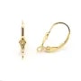 Schlafende Ohrringe Fleur de Lys 15mm - Gold Filled x 2 Stück