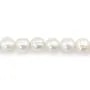 Freshwater cultured pearls, white, semi-round, 10-11mm x 38cm