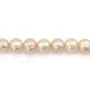 Perle coltivate d'acqua dolce, salmone, ovale, 9mm x 40cm