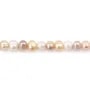 Perle coltivate in acqua dolce, multicolori, semitonde, 8mm x 4pz