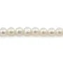 Pérolas cultivadas de água doce, brancas, redondas, 6.5mm AK x 36cm