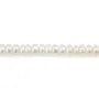 Freshwater cultured pearls, white, button rondelle, 5mm x 38cm