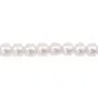 Perles de culture d'eau douce, blanche, ronde, 5mm AK x 40cm