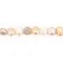 Perles de culture d'eau douce, multicolore, baroques, 6-7 x 36cm