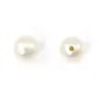 Perles de culture d'eau douce, semi-percée, blanche, semi-ronde, 5.5-6mm x 1pc