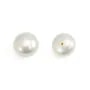 Perlas de agua dulce cultivadas, semi perforadas, blancas, botón, 8-8.5mm x 2pcs