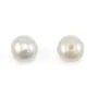 Freshwater cultured pearls, semi-drilled, white, button, 5-5.5mm x 4pcs