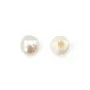 Perles de culture d'eau douce, semi-percée, blanche, bouton, 2.5-3mm x 4pcs