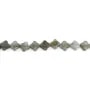 Labradorita trébol 7.5mm x 38cm