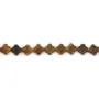 Occhio di Tigre trifoglio 10mm x 38cm