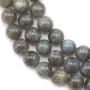 Perlas de Labradorita Redondas 10mm x 39cm