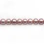 Perlen aus Süßwasserzucht, lila, rund 7mm - Perlenhalskette