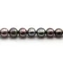 Perlas de cultivo de agua dulce, azul oscuro, semi-redonda, 8-9mm x 1pc