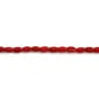 Pérola Bambu do Mar Vermelho 2x4mm | Matéria-Prima Criadores