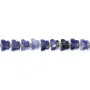 Sodalite papillon facetté 8x10mm x 37cm