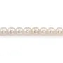 Japanese AKOYA cultured pearls, round, 8.5-9mm x 40cm AA