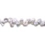 Perles de culture d'eau douce, argenté, keshi, baroque, 8-9mm x 40cm