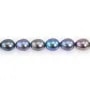 Perles de culture d'eau douce, bleue foncée, olive, 7.5-8mm x 38cm