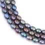 Perles de culture d'eau douce, bleue foncée, olive, 7.5-8mm x 38cm