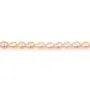 Perle coltivate d'acqua dolce, salmone, oliva, 2.5-3mm - AK x 38cm