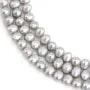 Perles de culture d'eau douce, gris, ovale, 7-8mm x 38cm