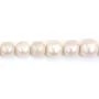 Perles de culture d'eau douce, blanche, semi-ronde, 11-16mm x 40cm