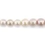 Perles de culture d'eau douce, blanche, semi-ronde, 11-16mm x 40cm