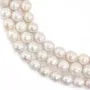 Perles de culture d'eau douce, blanche, semi-ronde, 11-13mm x 40cm
