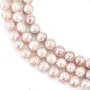 Perles de culture d'eau douce, mauve, ovale/cerclée, 10-11mm x 38cm