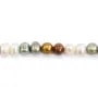 Perlas de cultivo de agua dulce, fantasía multicolor, ovaladas/anilladas, 6-8mm x 37cm