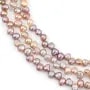 Perles de culture d'eau douce, multicolore, baroque, 5-6mm - Excentré x 37cm