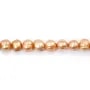 Perles de culture d'eau douce, saumon fantaisie, ovale/cerclée,7-8mm x 40cm