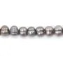 Perles de culture d'eau douce, grise, ovale/cerclée, 9-10mm x 38cm