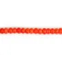 Bambou de mer, teinte orange, rondelle, 3x5mm x 40cm