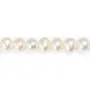 Perles de culture d'eau douce, blanche, ovale, 6-7mm x 40cm