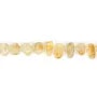 Chips di citrino allungati x 40cm (52 pezzi)