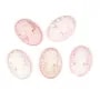 Cabujón Camafeo Concha rosa ovalada mujer 13x18mm x 1pc