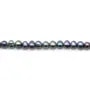 Dark blue oval freshwater cultured pearls 5-6mm x 38cm