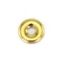 Donut Hématite doré 20mm x 1pc