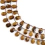 Tiger Eye flat faceted drop 8x12mm x 37cm