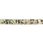 Jaspe Dalmatien rondelle heishi 1.5x6mm x 39cm